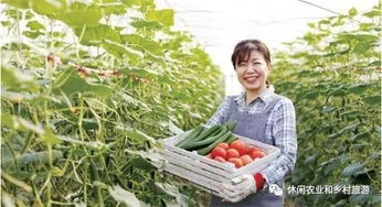 破解农产品卖难 四大症结与四大对策