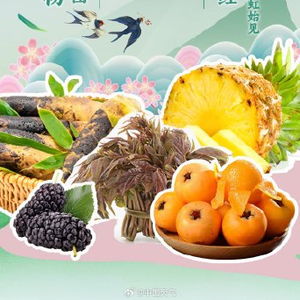 全国优质农产品推荐地图 探寻乡土本味