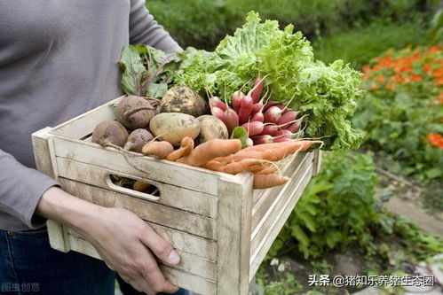 中国农产品 机遇与未来潜力共舞