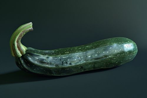 新鲜蔬菜农产品西葫芦图片 广告素材 下载至来源处
